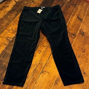 J. Jill Obsidian Velvet Pants size 10P NWT